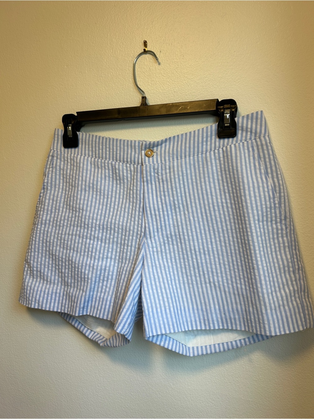 Duffield Lane Light Blue and White Striped Women’s Shorts